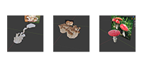 mushroom modeling snapshot